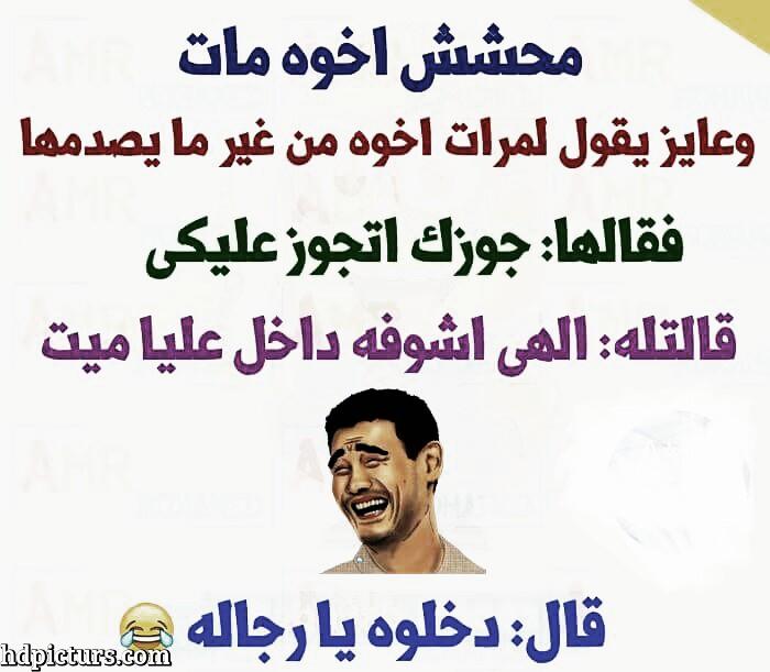 نكت صعايدة محششين