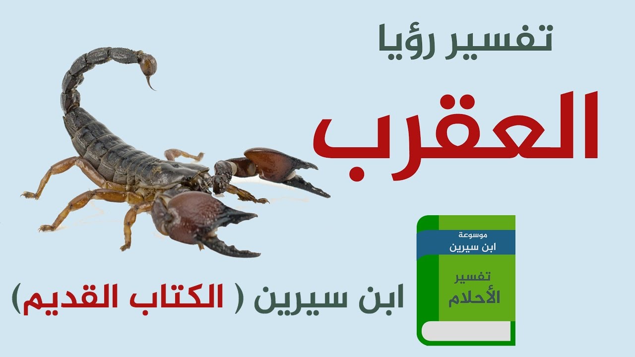 تفسير حلم رؤية العقرب