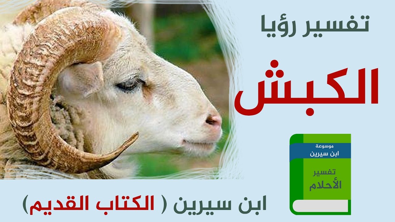 تفسير حلم رؤية الكبش في المنام