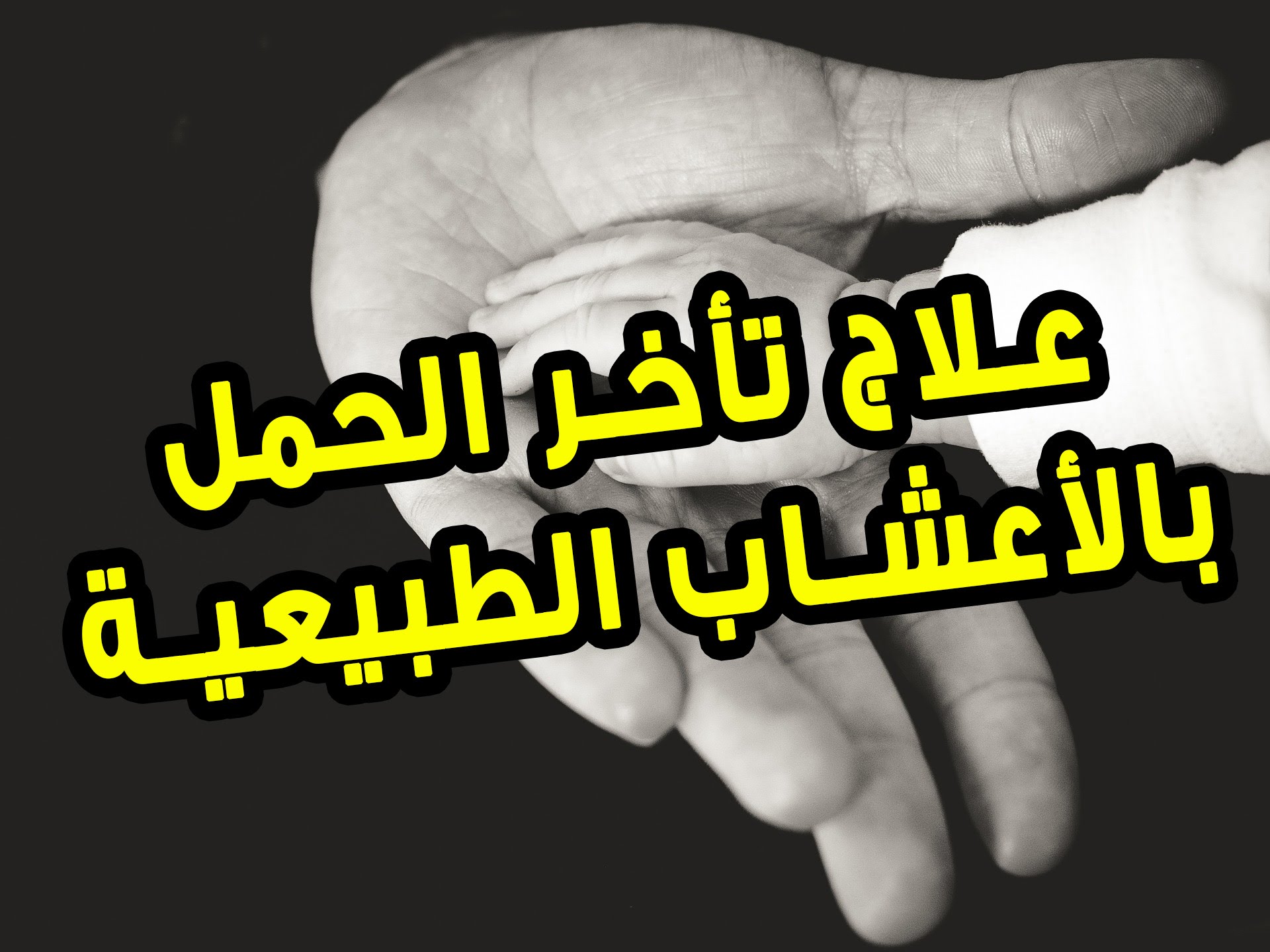 علاج تأخر الحمل بالأعشاب